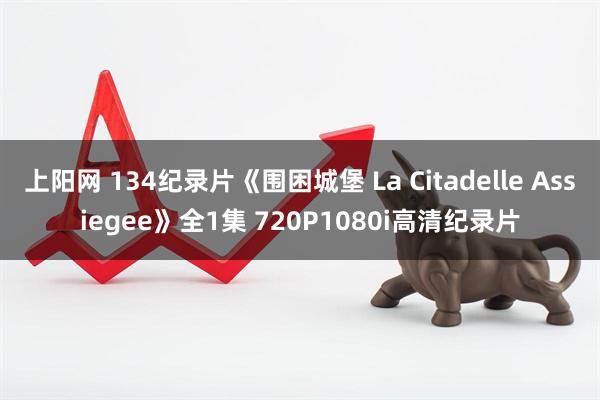 上阳网 134纪录片《围困城堡 La Citadelle Assiegee》全1集 720P1080i高清纪录片