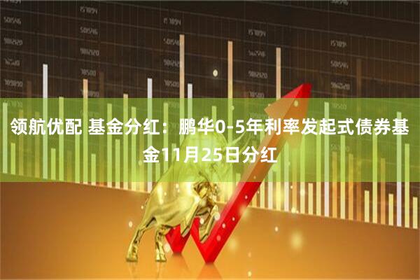 领航优配 基金分红：鹏华0-5年利率发起式债券基金11月25日分红