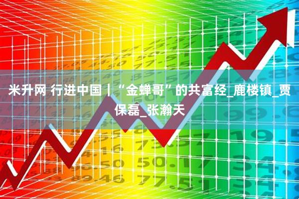 米升网 行进中国｜“金蝉哥”的共富经_鹿楼镇_贾保磊_张瀚天